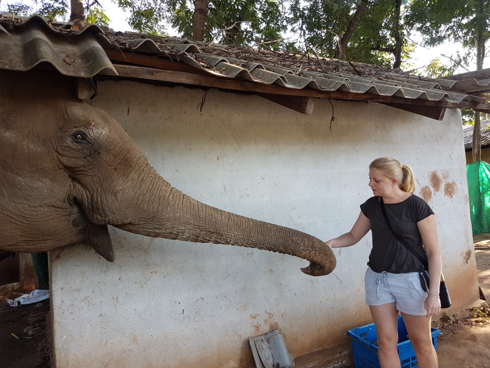 2017-01-19-09-34-42-1