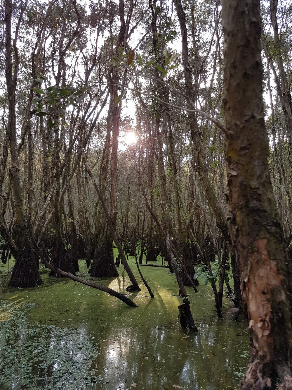 2017-03-08 16.51.32-1