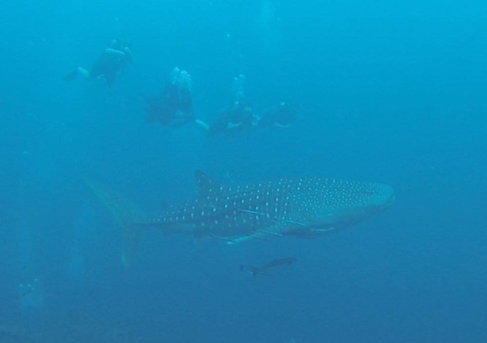 Screen Shot 2017-04-18 at 22.42.21