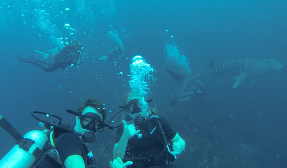 Screen Shot 2017-04-18 at 22.43.53