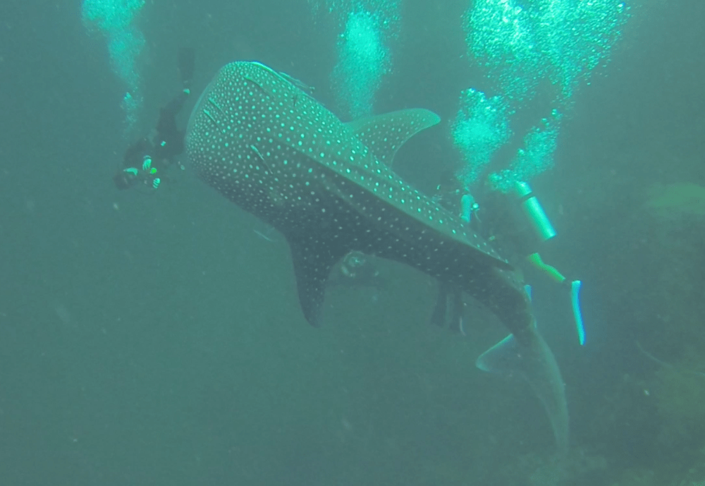 Screen Shot 2017-04-18 at 22.46.45