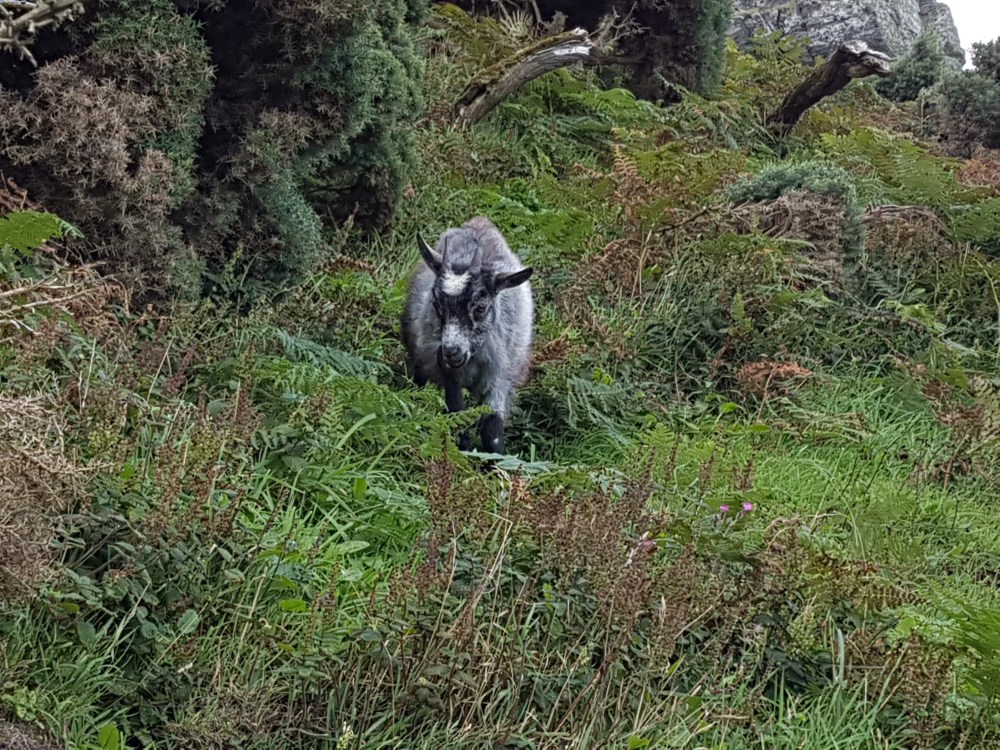 2017-08-19 11.28.33-2